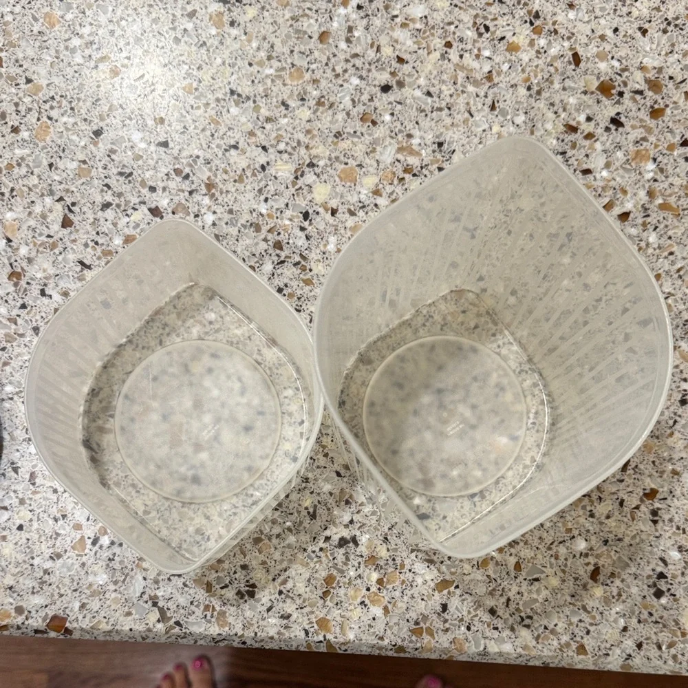 Tupperware Containers with Purple Lids